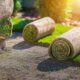 Finding Reliable Turf Suppliers in Sydney