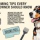 6 Grooming Tips Every Dog Owner Should Know