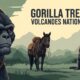 Gorilla Trekking in Volcanoes National Park: