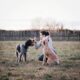 4 Everyday Training Tips for Busy Dog Owners