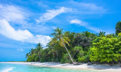 How to Plan the Perfect Tropical Vacation Without Overspending