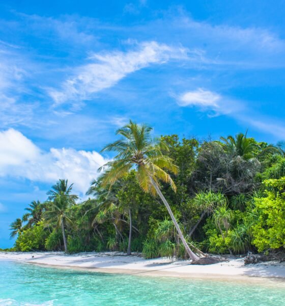 How to Plan the Perfect Tropical Vacation Without Overspending