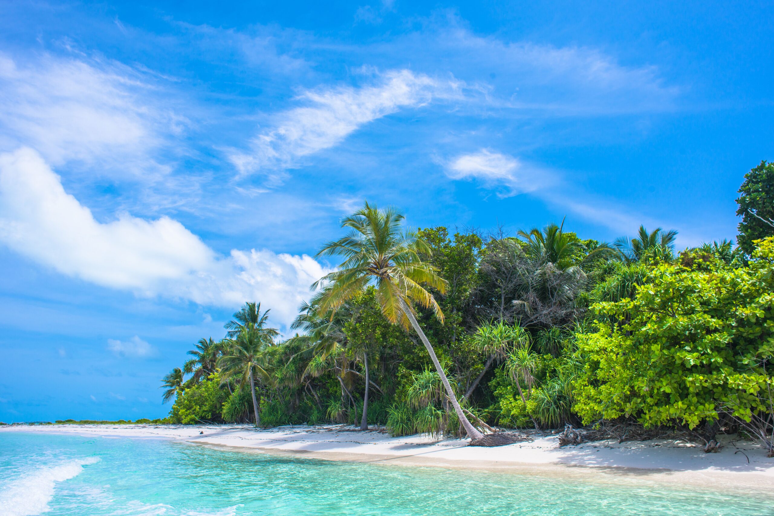 How to Plan the Perfect Tropical Vacation Without Overspending