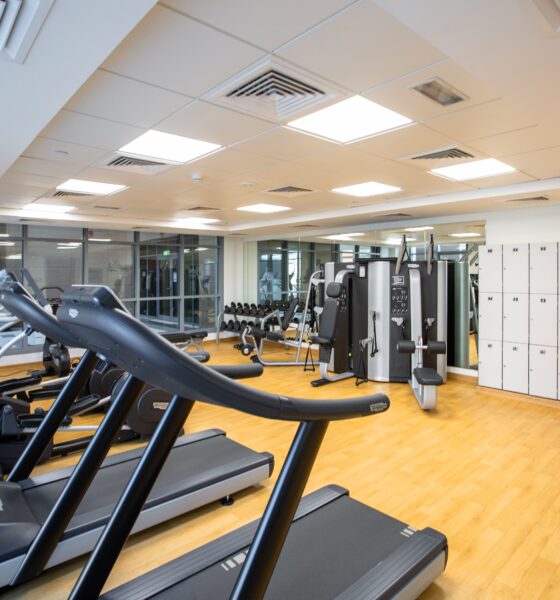 Why a Gym Should Be Your First Start-Up