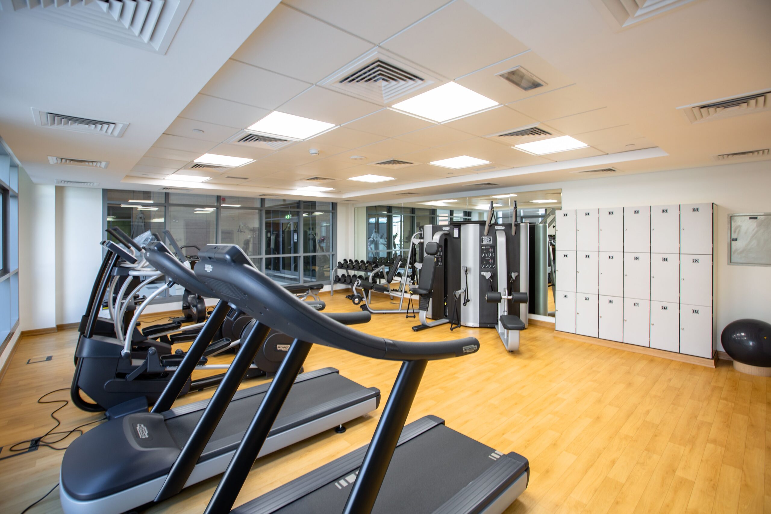 Why a Gym Should Be Your First Start-Up