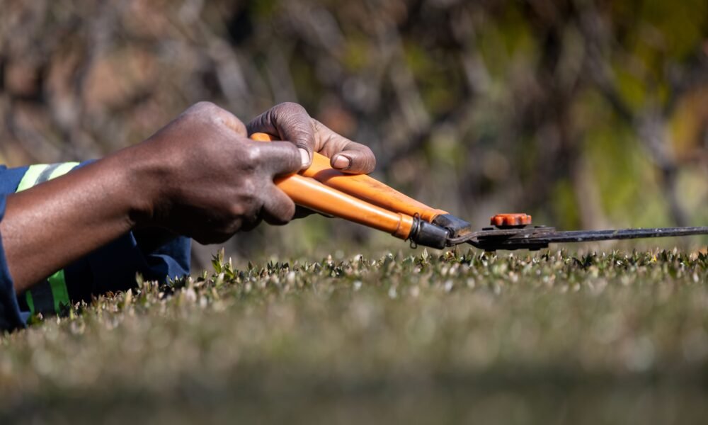 The Best Gardening Upgrades for a More Attractive Landscape