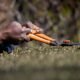 The Best Gardening Upgrades for a More Attractive Landscape