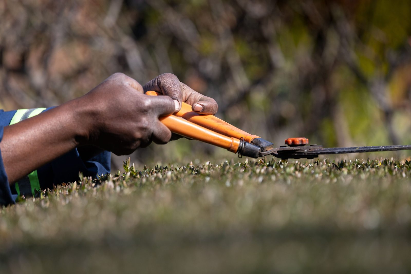 The Best Gardening Upgrades for a More Attractive Landscape