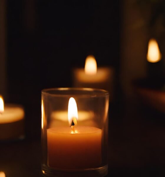 8 Business Opportunities Emerging in the Online Home Fragrance Market