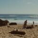 Family Vacation: 6 Niche Ideas to Escape Winter